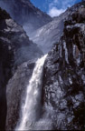 Lower Yosemite Fall