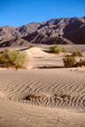 Death Valley N.P., Mesquite Flat Sand Dunes