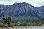 Red Rock Canyon National Conservation Area, westlich von Las Vegas