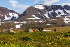 Campground in der Bucht Hlöðuvík