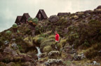 An den Horombo Huts (3700 m)